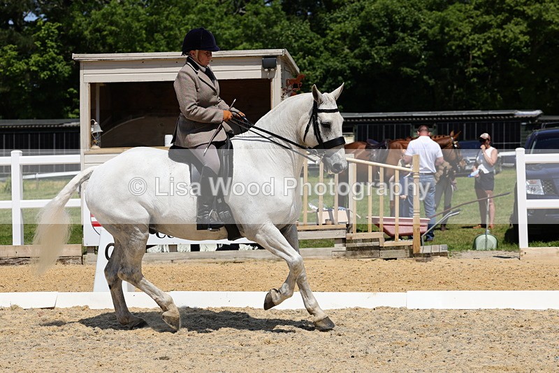 1X9A1708 - Class 11: Ridden Cob