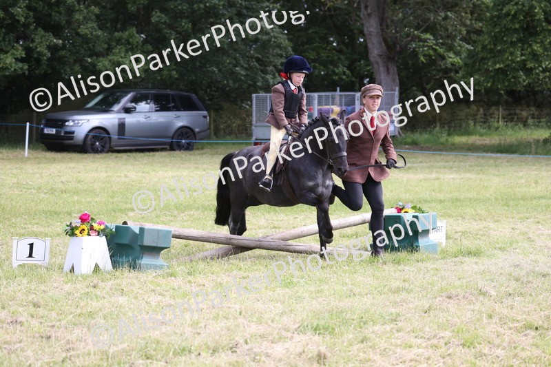 20260614-0574 - Class 20 - Beginners Working Hunter Pony