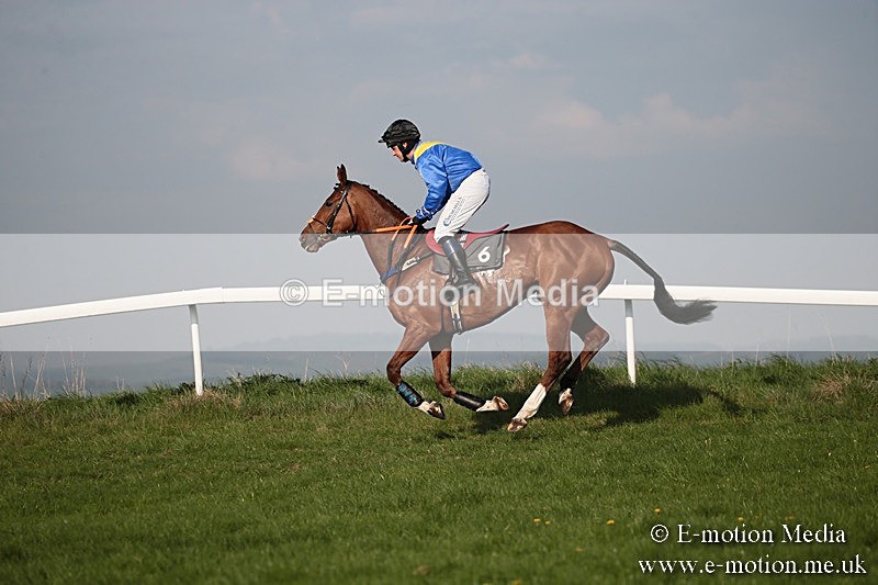 PtP 210418 588 - South & West Wilts Point-to-Point Larkhill 21/04/18