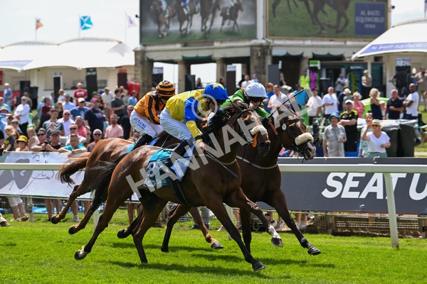 130625-Race 1-Feel The Need-8370 - Race 1 1.50pm Andy Thornton Hospitality Furniture Apprentice Handicap