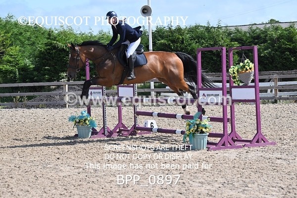 BPP_0897 - CLASS 4 British Novice/ 90cm Open