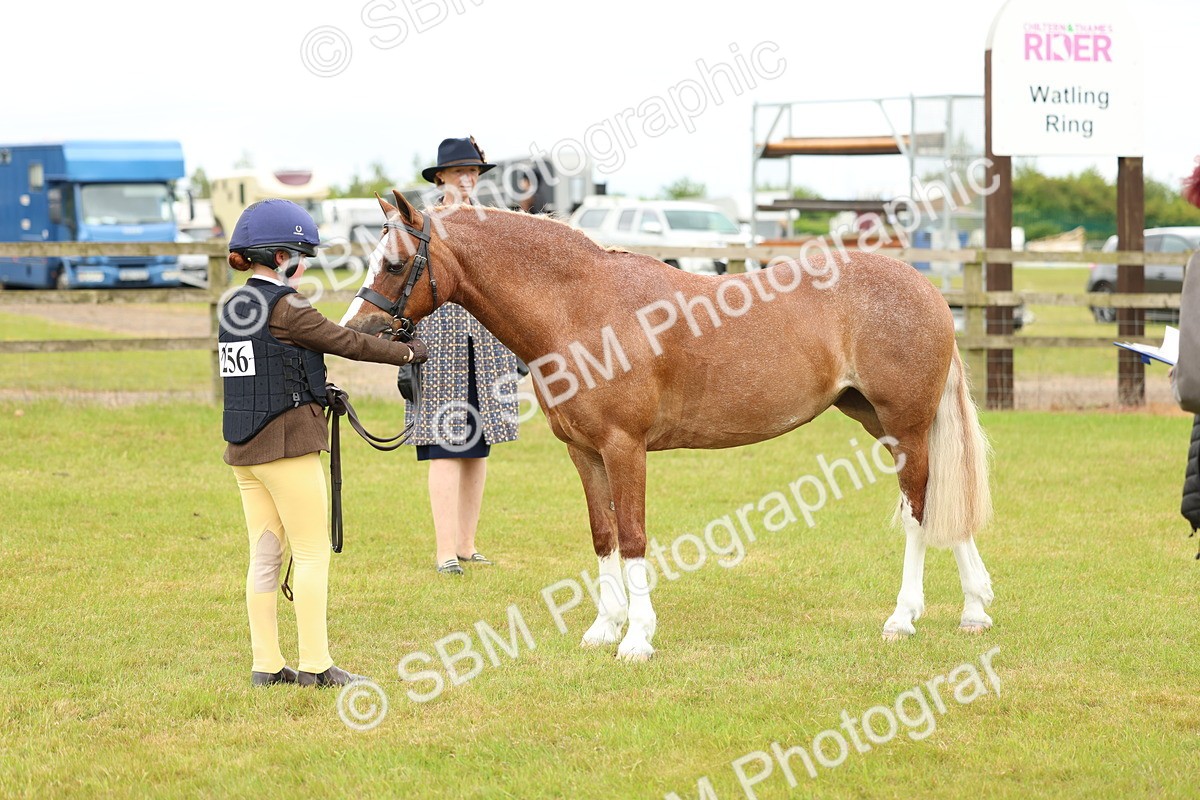 SBM_10288 - Class 44-45 - LIHS BSPS Open Nursery and Cradle Stakes