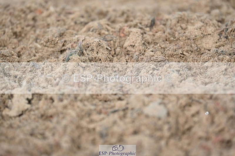 240323A-124546-02907 - DR Novice 34