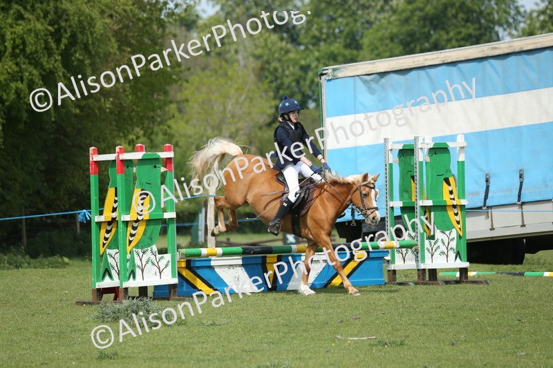 20260426-1746 - Class 14 - Novice 60cm
