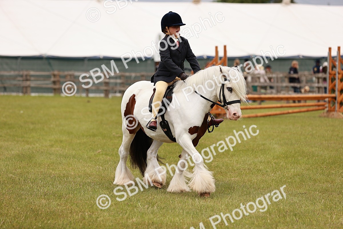 SBM_06228 - Class 39-41 TGCA In Hand and Ridden