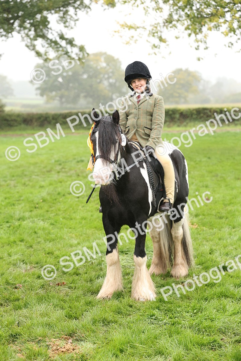 SBM_72869 - S70 - Traditional Cob Ridden