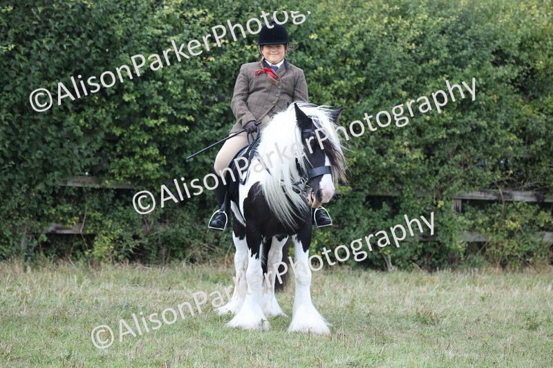 20250831-4340 - Class 20 - Ridden Coloured