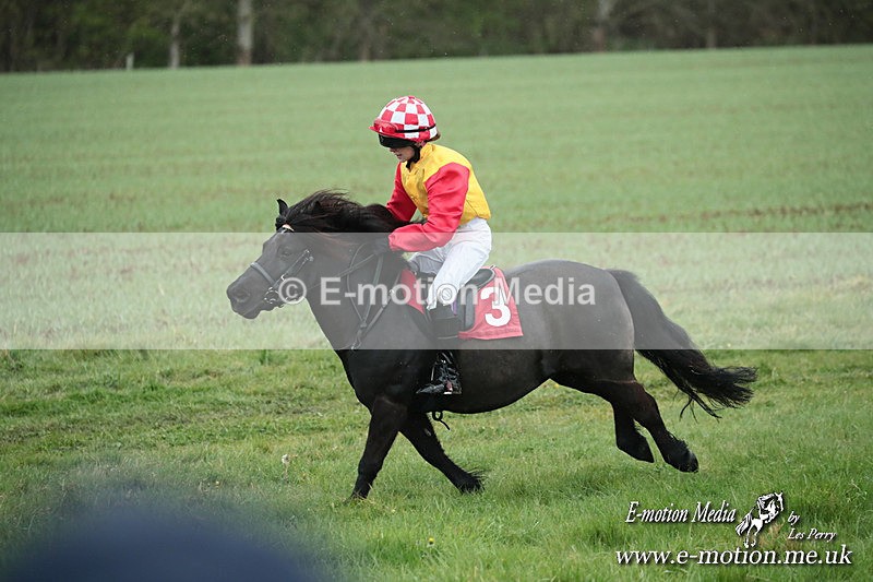 SHETPR 210425 130 - Shetland Ponies Paxford Races 21/04/25