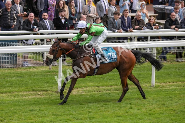 140624-Race 1-Tolstoy-5509 - Race 1 1.50pm Andy Thornton Hospitality Furniture Apprentice Handicap