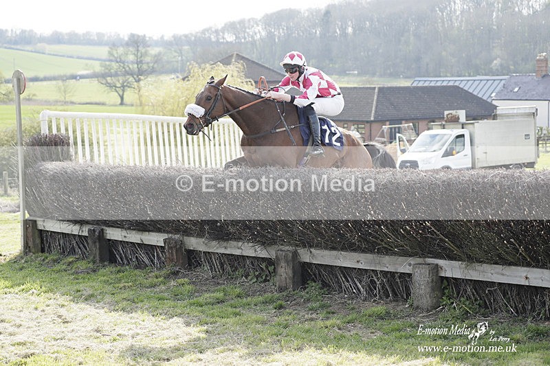 PtP 080423 592 - Dingley Races The Woodland Pytchley Hunt PtP 08/04/23