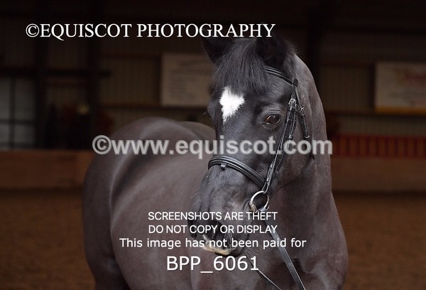 BPP_6061 - Erin Hancock ×2