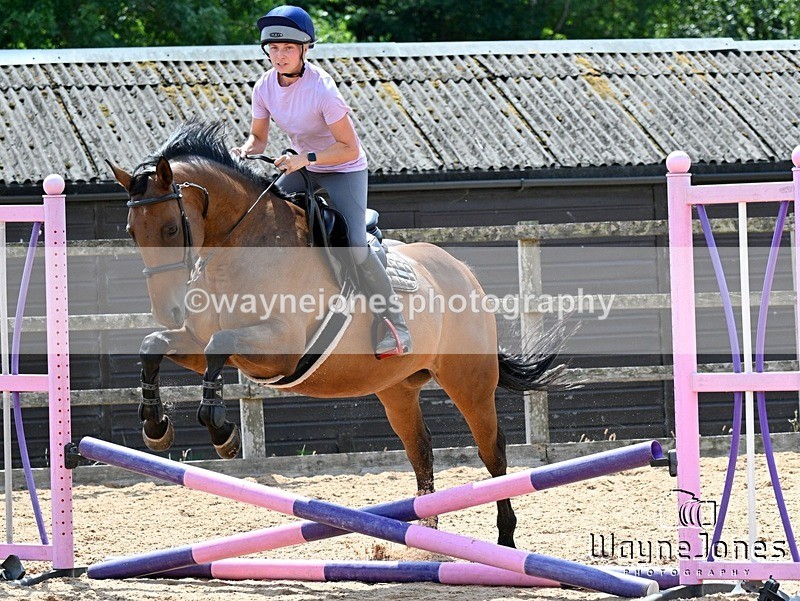WJ7_6657 - Show Jumping at BCA