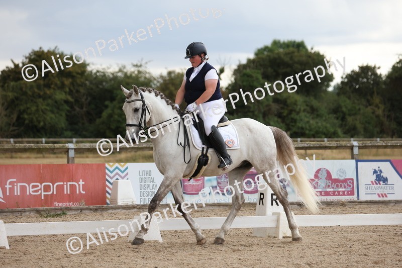 20250706-0444 - Class 17 - Elementary 5