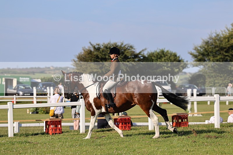 IMG_1232 - Class 27: Ridden Plaited Coloured Horse