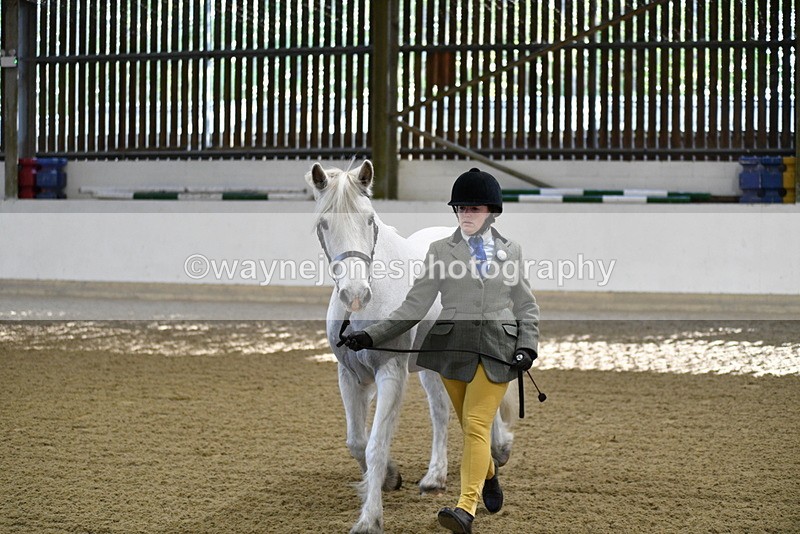 WJ5_3554 - Class 5 In Hand Veterans