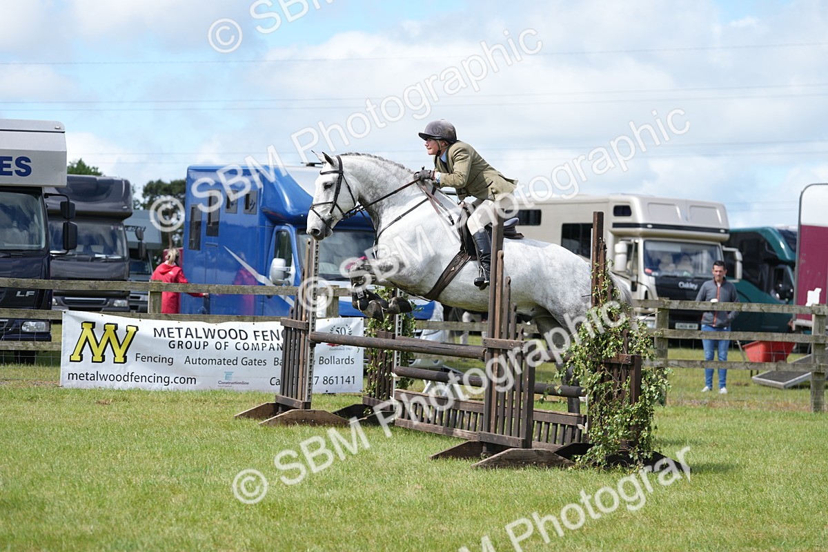 SBM_14862 - Class 100-102 - RIHS Working Hunter