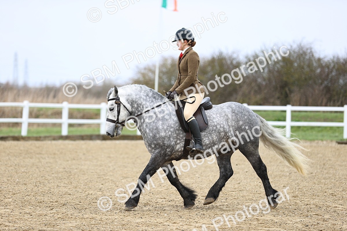 SBM_007568 - Class 31-32 - M&M Confined Novice Small-Large