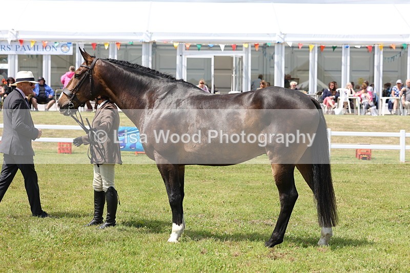 3E7A1732 - Class 9: Open Hunter