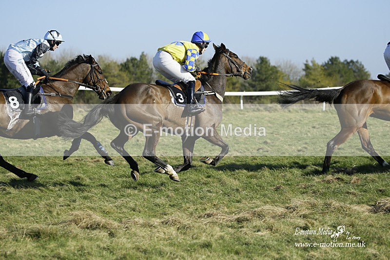 PtP 270222 213 - South & West Wilts Point-to-Point Larkhill 27/02/22