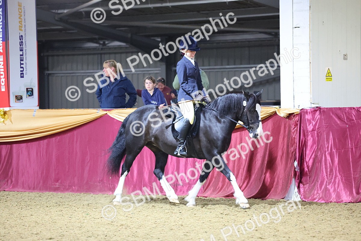 0B8A4667 - Class R Working Veteran Champ