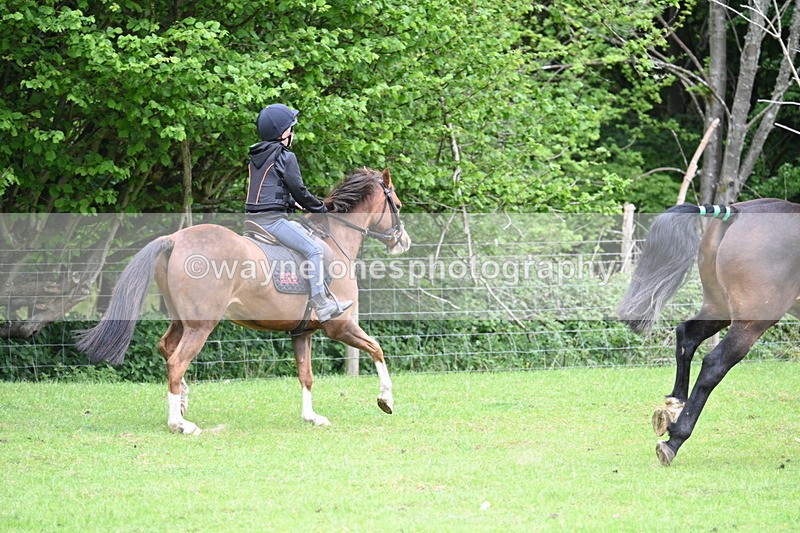 WJ7_2742 - Group 8 A&B Cameras