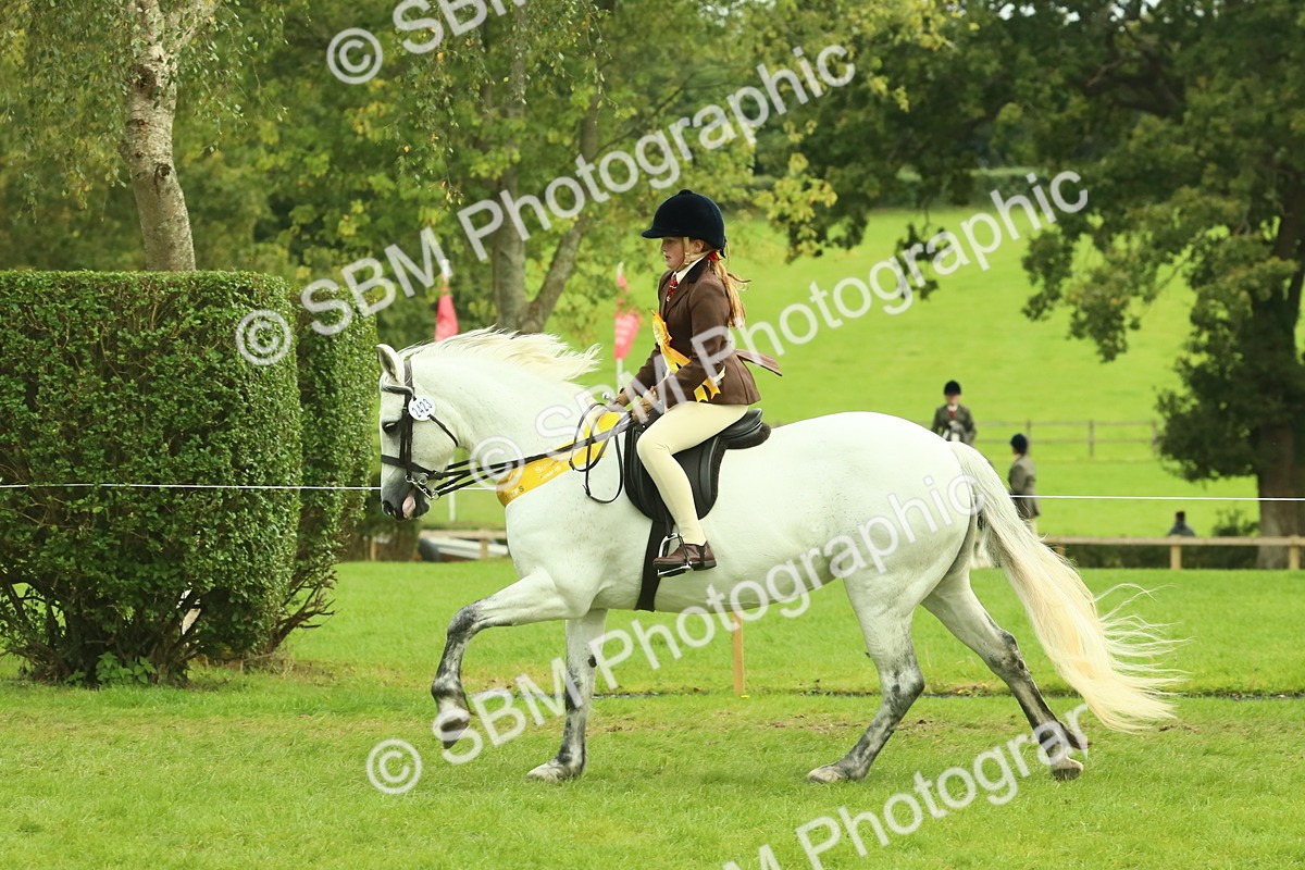SBM_75041 - Ridden Pony Supreme Championship