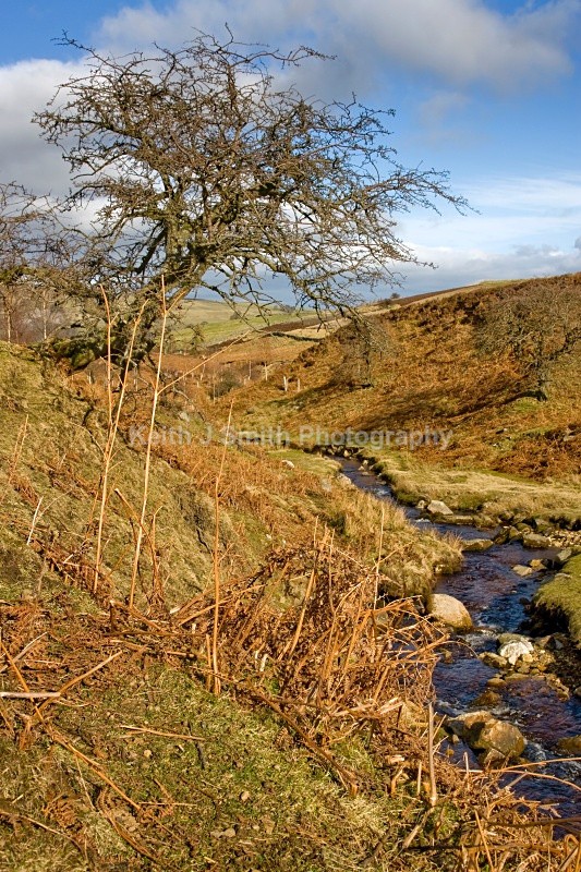 (RM) - United Kindom