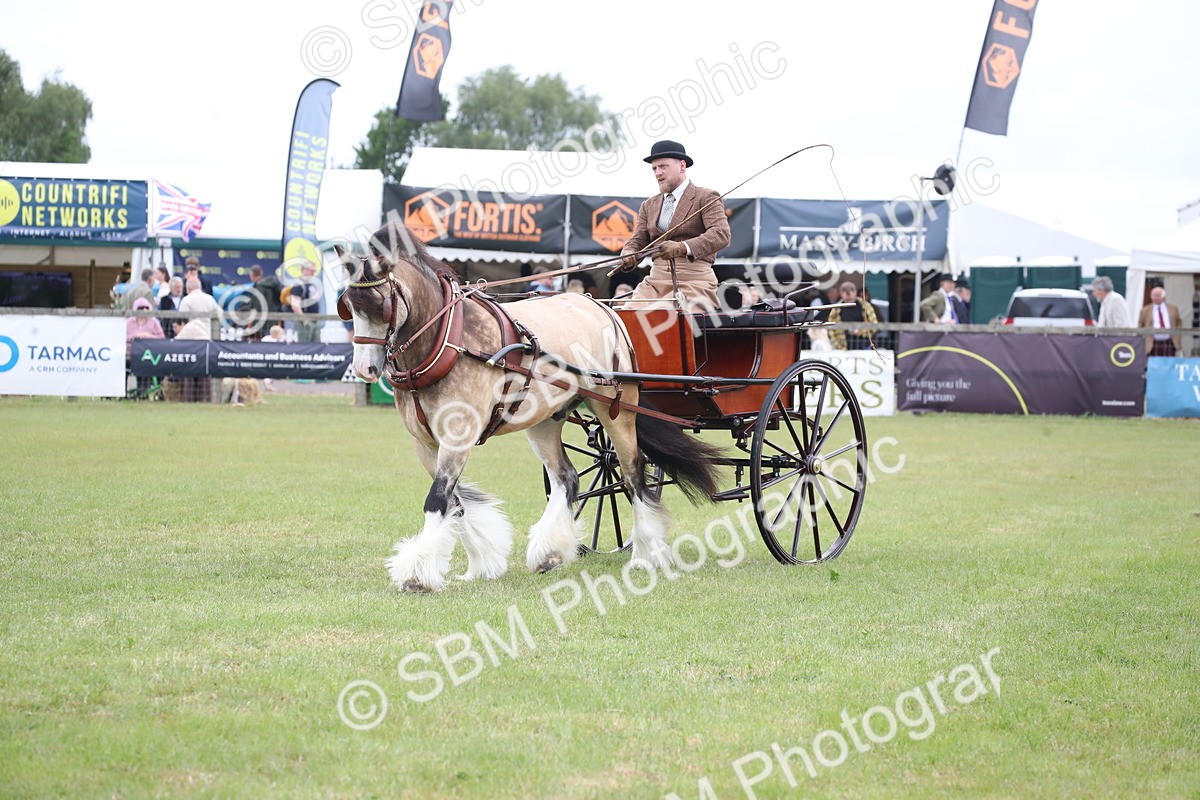 SBM_05632 - Class 12-15 - HOYS Private Driving