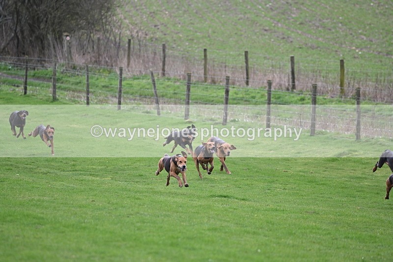 WJ6_8966 - Line Three