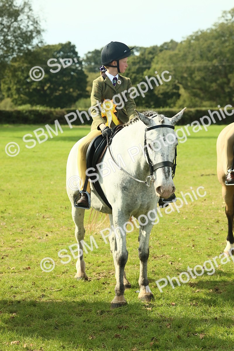 SBM_68977 - S58 - Mini Show Cob Ridden