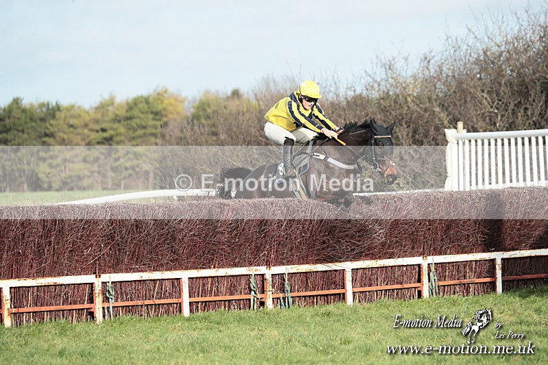 PtP 141225  1648 - New Forest Hounds PtP Larkhill 14/12/25