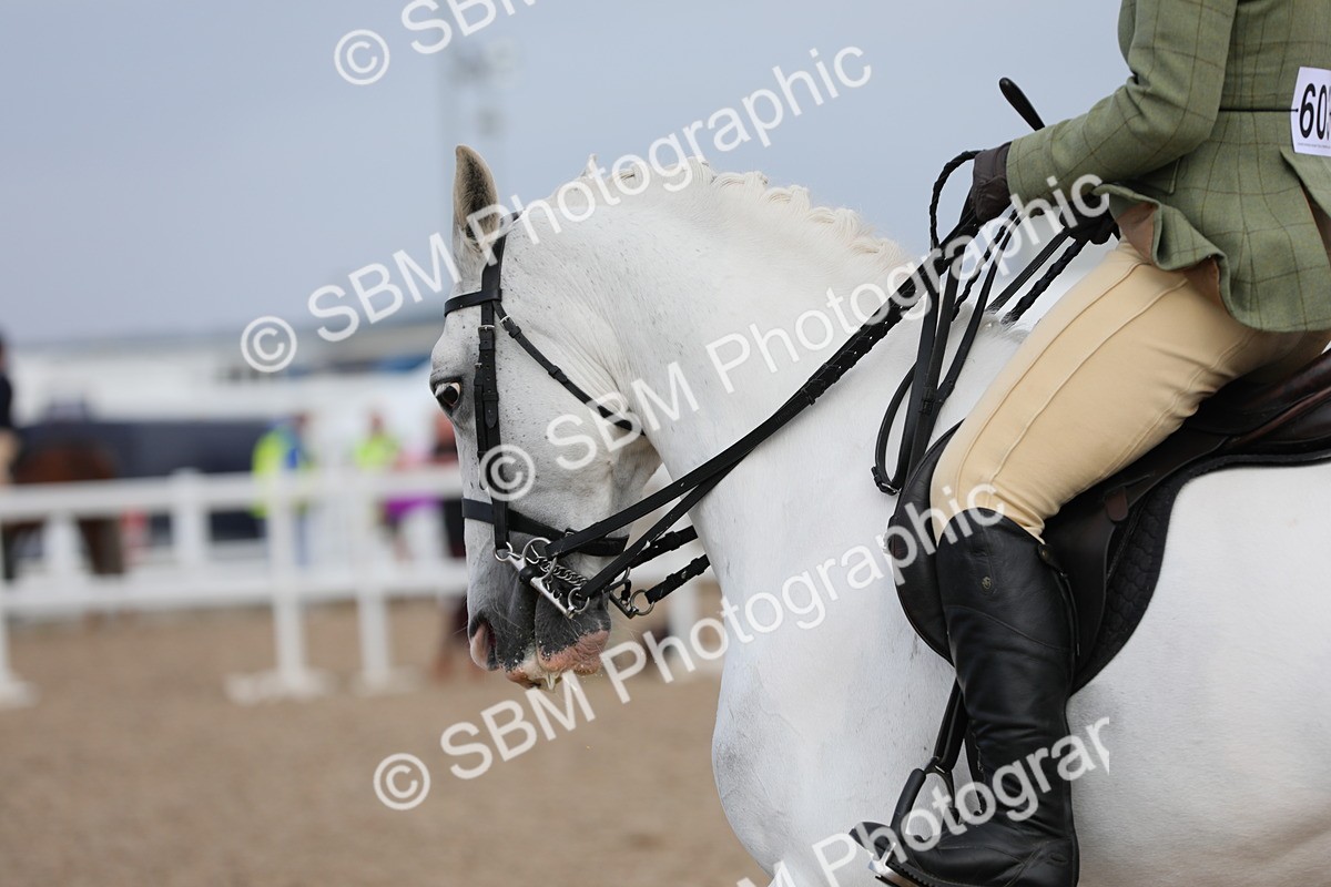 SBM_17796 - Class 315 Best Horse/Rider Combination