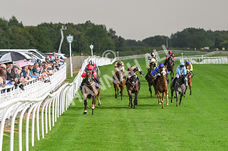 280824-Race 4-Desert Dream-4358 - Race 4