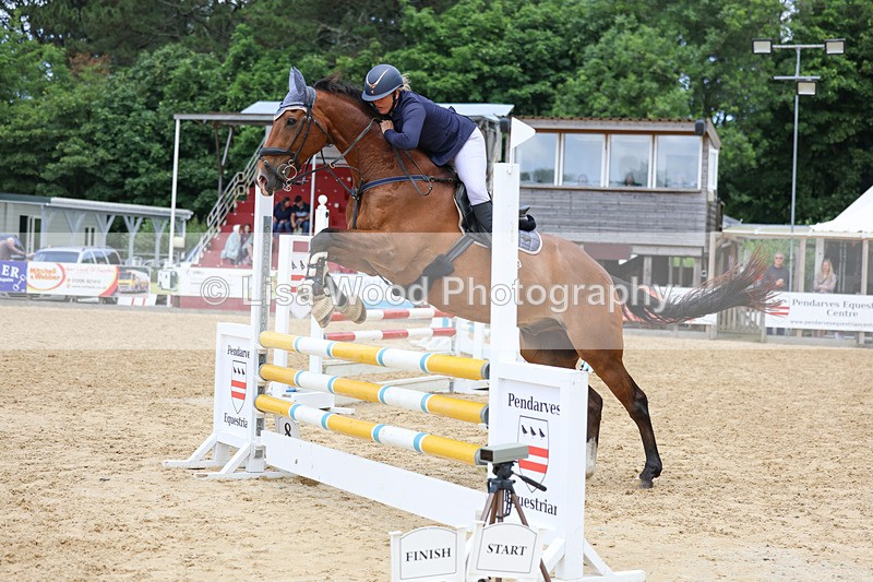 3E7A3245 - Class 4: Senior British Novice/90cm open