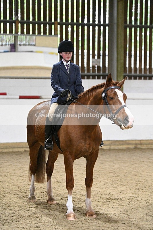 WJ7_3913 - Class 17 Ridden Cob