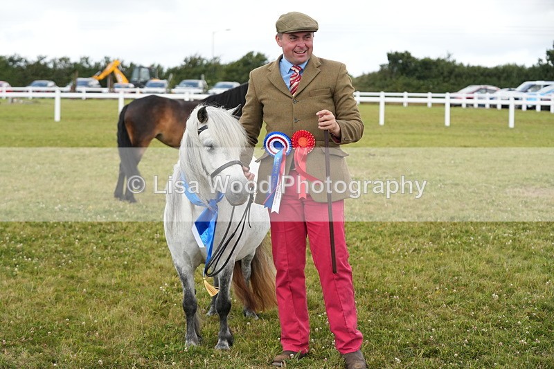 DSC05998 - NPS M&M In Hand Championship
