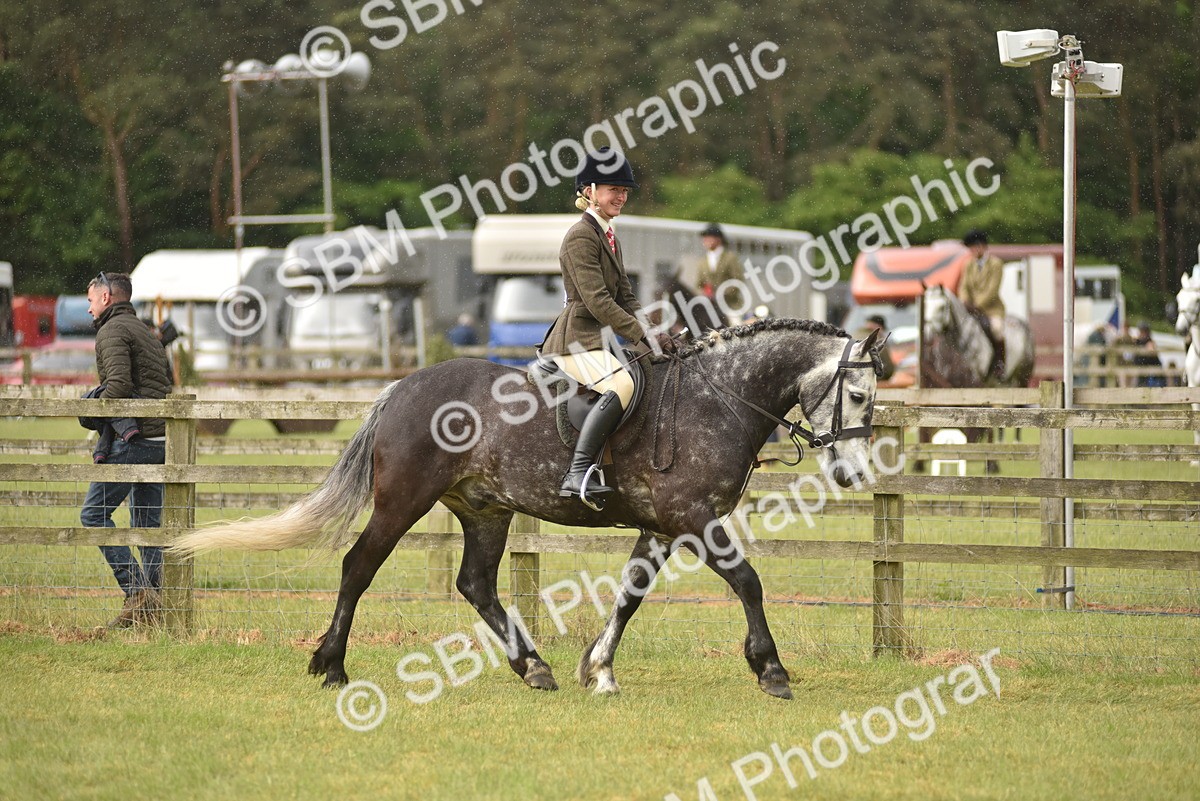 SBM_12098 - Class 110-112 - LIHS BSPS Performance Pones