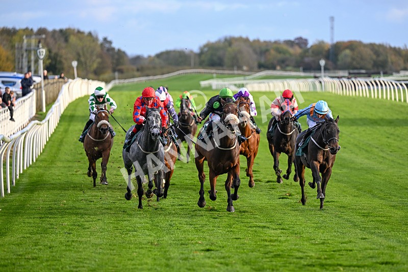 281025-Race 6-The Good Biscuit-1923 - Race 6