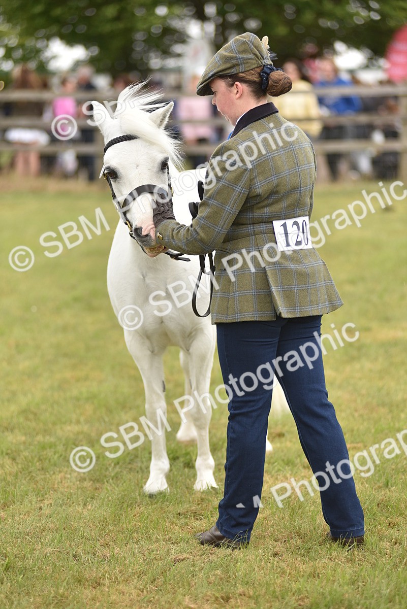 SBM_15810 - Class 115-116 - SSADL Home Produced Members Qualifier