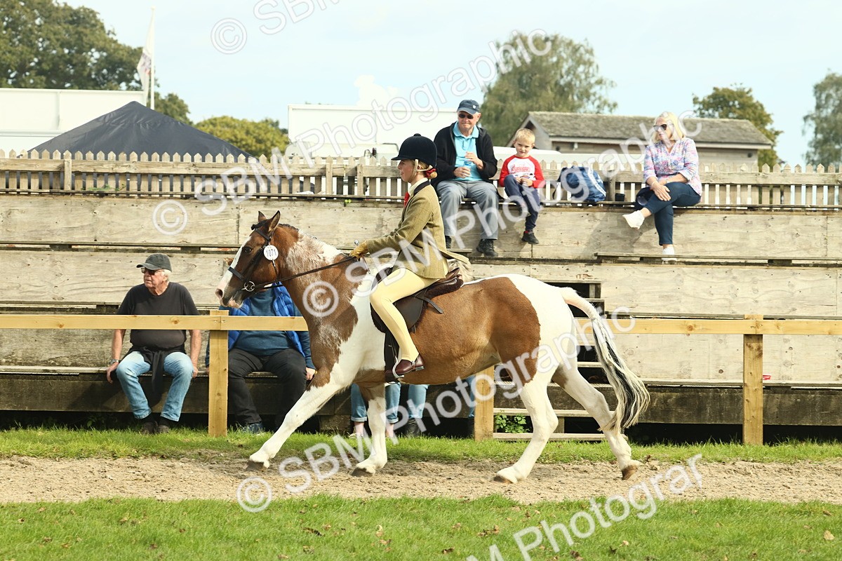 SBM_68115 - S57 - Part Bred Pony Ridden
