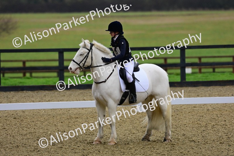 20260125-0595 - Class 9b - Walk Trot Unassisted