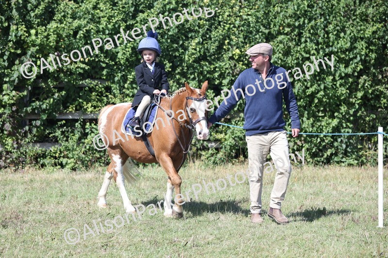 20250831-3146 - Class 24 - Absolute Beginners Pony