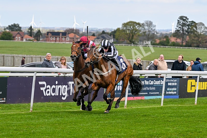 150426-Race 1-Thankfully-4646 - Race 1