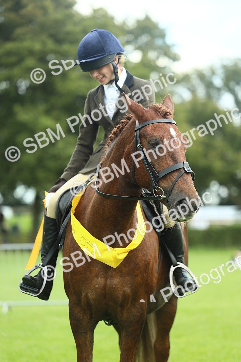 SBM_42187 - S29 - Novice & Newcomers Working Hunter Pony