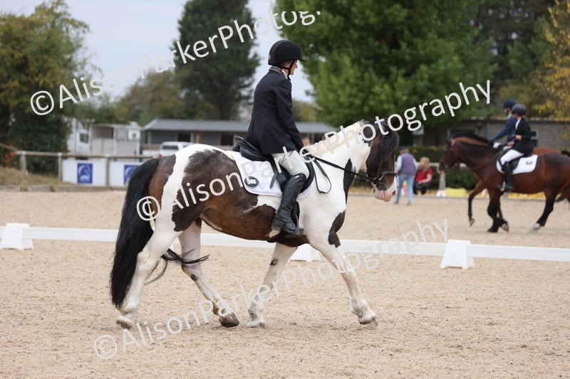 20250819-1171 - Class 3 - Prelim 2