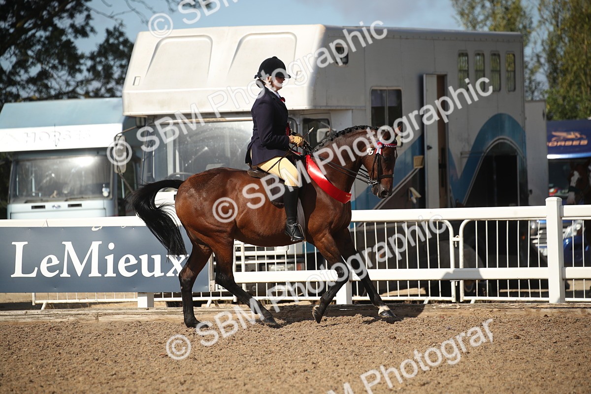 SBM_22875 - Class 602 - 2026 Area - Ridden Veteran