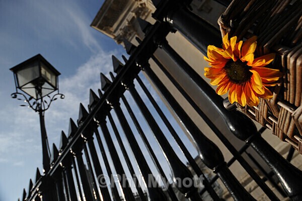 MynottART129 - Photo Mynott ART Images