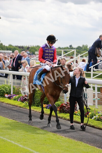 yr21052022r2-16 - Race 2: 2:20pm William Hill Bet Boost Stakes