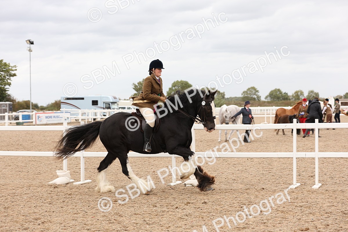 SBM_19754 - Class 216 - Ridden Traditional - Native Cob
