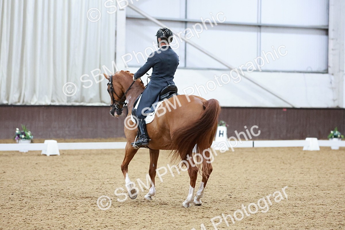 SBM_021508 - Class 14 - FEI Grand Prix - 18.52-19.37